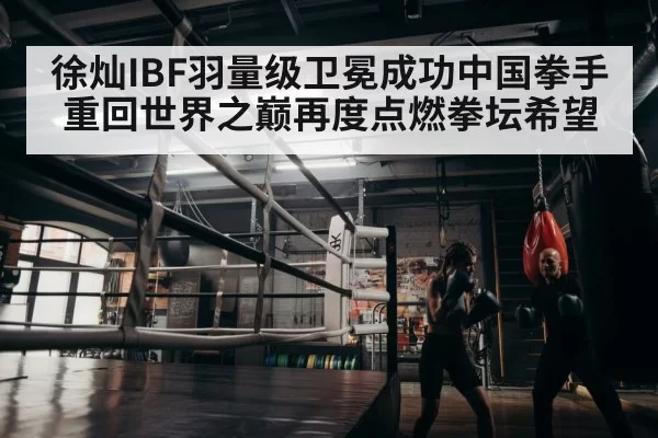 boxer training